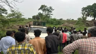 સાવરકુંડલા: થોરડીમાં સિંહે બાળકને ફાડી ખાધો, પંથકમાં ફફડાટ