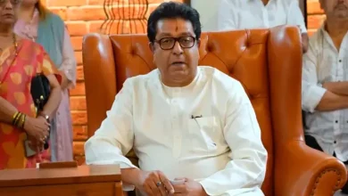MNS Workers Vandalize Gujarati Signboards in Protest