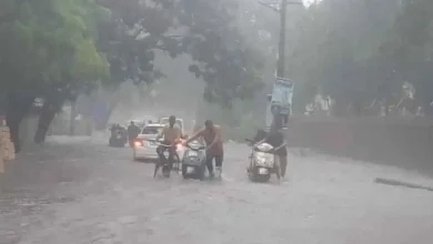 Rainfall in Gujarat breaks 'decade' record, highest rainfall in June