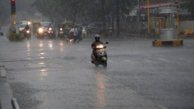 આ જિલ્લાઓમાં મેઘરાજા કરશે તોફાની બેટિંગ, જાણો હવામાન વિભાગે કેવી આગાહી કરી?