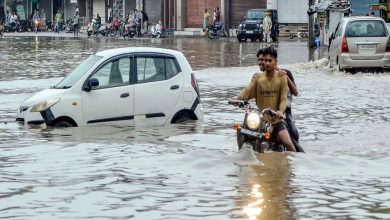 આજે 4 જિલ્લામાં ઓરેન્જ અને 7 જિલ્લામાં યલો એલર્ટ! પ્રિ-મોન્સુની કામગીરીમાં તંત્રના દાવા પોકળ