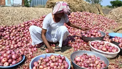 Onion producers demand compensation in Maharashtra