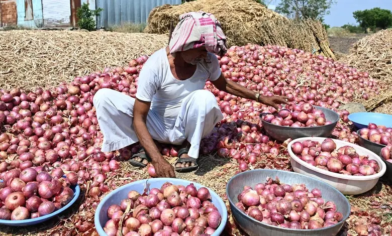 Onion producers demand compensation in Maharashtra