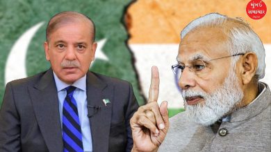 પીએમ મોદીનો ફરી પાકિસ્તાનને કડક સંદેશ, કહ્યું લોહી વહેવડાવનારાઓ માટે કોઇ સ્થાન સુરક્ષિત નહિ