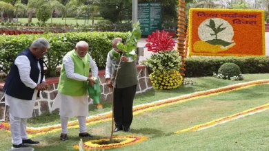 PM મોદી આવતીકાલે અરવલ્લીના પુનર્વનીકરણનો શુભારંભ કરશે