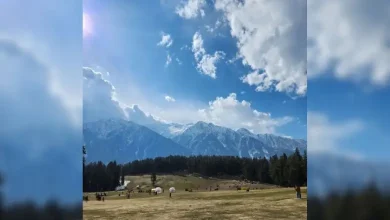 હોટેલ ઉદ્યોગથી લઈને ઘોડાવાળાની હાલત કફોડી