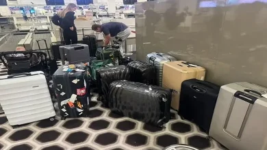 જુઓ તો ખરા! પૅટ કમિન્સની પત્ની કેટલી બૅગ લઈને લંડન પહોંચી છે