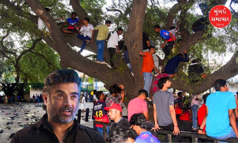 અભિનેતા આર. માધવને ક્રિકેટપ્રેમીઓને સલાહ આપી કે…