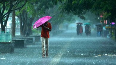 ગુજરાતના મોટાભાગના જિલ્લામાં વાદળછાયું વાતાવરણ રહેશે, હળવાથી મધ્યમ વરસાદ આગાહી,