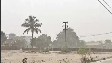 Rain in Kutch