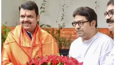Raj Thackeray and Fadnavis meet