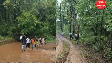 મતદાન માટે આટલી તકલીફો વેઠતા કર્મચારીઓને સલામ, પણ સુવિધાઓનો આટલો અભાવ મોટો સવાલ