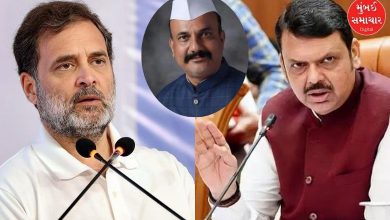 Sapkal termed Fadnavis' resistance to Rahul Gandhi's claim as 'distraction'