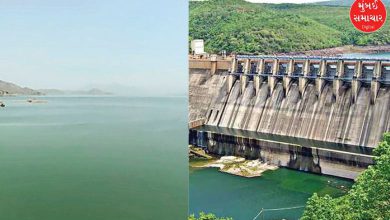 Sardar Sarovar Dam filled to 59%: State receives 55% of season's average rainfall