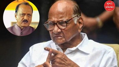 Sharad Pawar criticizes BJP opportunistic leader