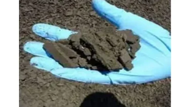 વડોદરામાં સ્કૂલ બની પછી 7 વર્ષે સોઈલ ટેસ્ટ: ચોંકાવનારો રિપોર્ટ!