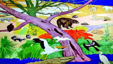 Special plus: Not only humans, but also animals and birds are intelligent!