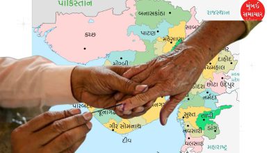 Star campaigners for Kadi-Visavadar by-election
