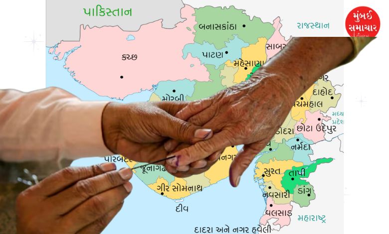 Star campaigners for Kadi-Visavadar by-election