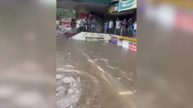 ગુજરાત વરસાદ અપડેટ