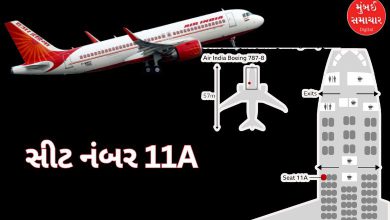 વાત બે વિમાન દુર્ઘટનાની, પણ ચત્મકાર એક જ સીટનો