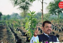 Ten crore tree plantation campaign – Maharashtra