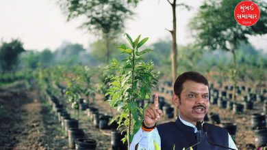 Ten crore tree plantation campaign – Maharashtra