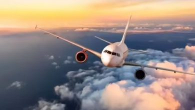 થાઈલેન્ડમાં એર- ઈન્ડિયાની ફલાઈટનું ઇમરજન્સી લેન્ડિંગ, આ છે કારણ