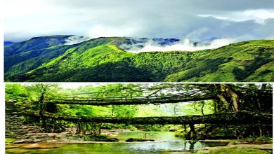 ટ્રાવેલ પ્લસ ઃ વાદળોનું વિશ્વ મેઘાલય પ્રાકૃતિક ગુફાઓ ને ડબલ ડેકર બ્રિજની સફર માણીએ...