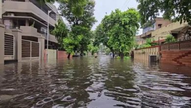 વડોદરામાં પૂર સામે લડવા 200 તરવૈયાઓની 'ફોજ' તૈયાર, VMCનું આગોતરું આયોજન