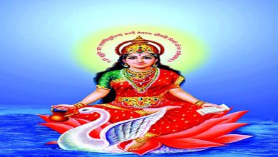 વલો કચ્છ ઃ સંસ્કૃતિની જનની ગાયત્રી જયંતી