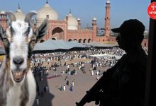 "Punjab Govt Bans Ahmadiyya Muslims from Qurbani Rituals"
