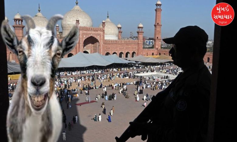 "Punjab Govt Bans Ahmadiyya Muslims from Qurbani Rituals"