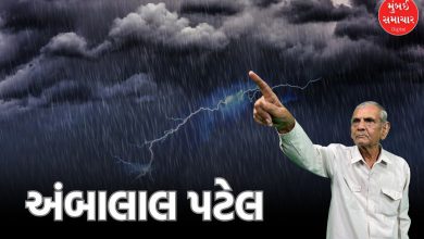 Gujarat Ambalal Patel predicts heavy rain next 36 hours