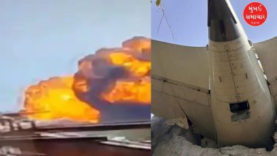 અમદાવાદ વિમાન દુર્ઘટનામાં તાપમાન 1000 ડિગ્રી સેલ્સિયસ સુધી પહોંચ્યું હતું, પશુ પક્ષીઓ પણ ના બચી શકયા