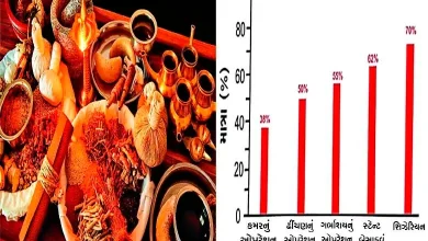 Health Plus: Which doctor should I seek treatment from?