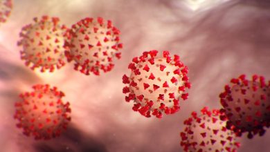 નવી મહામારીના સંકેત ! ચીનમાં મળ્યા કોરોનાથી પણ ખતરનાક 20 વાયરસ