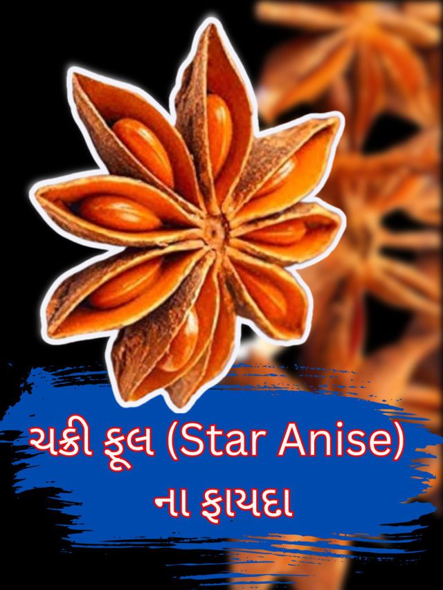 ચક્રી ફૂલના આ ફાયદા જાણી લેશો તો ફાયદામાં રહેશો…
