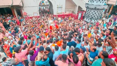 Thakor Nagarcharya in Dakor: Ranchhodraiji's 253rd grand chariot procession begins in Pushya Nakshatra!