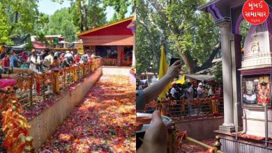 For the first time after the terrorist attack, a big event was held in Kashmir, devotees thronged the Kheer Bhawani Mela
