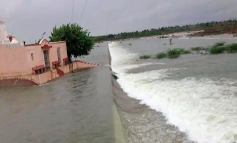 Surendranagar's Dholidhaja Dam overflows, destroying 1200 bighas of cotton crop