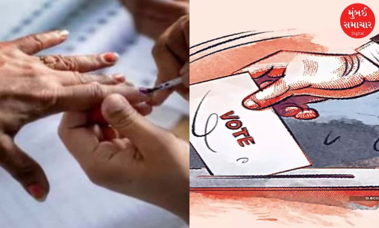 Did rain disrupt voting in the by-election? Voting in Visavadar and Kadi at a snail's pace
