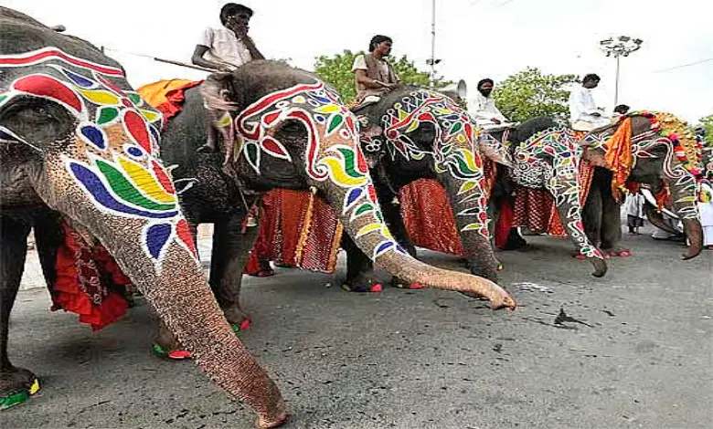 Under what circumstances do elephants get angry?