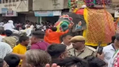 રથયાત્રામાં હાથીઓના બેકાબૂ થવા મુદ્દે મહંતની સ્પષ્ટતા: મારવાનો ઉદ્દેશ નહોતો પણ...