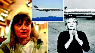 Hey... really?! : You fell from 33,000 feet without a parachute and survived, tell me!