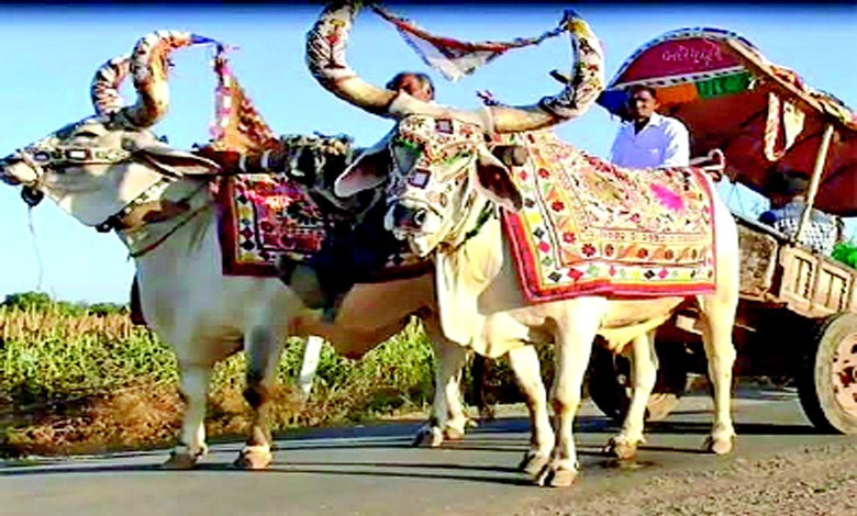 ફેશન ઃ સૌની ફેવરિટ શોર્ટ કુરતી