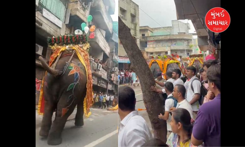 જગન્નાથની 148મી રથયાત્રાઃ જમાલપુર દરવાજામાં ટ્રક ફસાઈ, ખાડિયામાં ગજરાજ બેકાબૂ અને ઓપરેશન સિંદૂરની થીમ