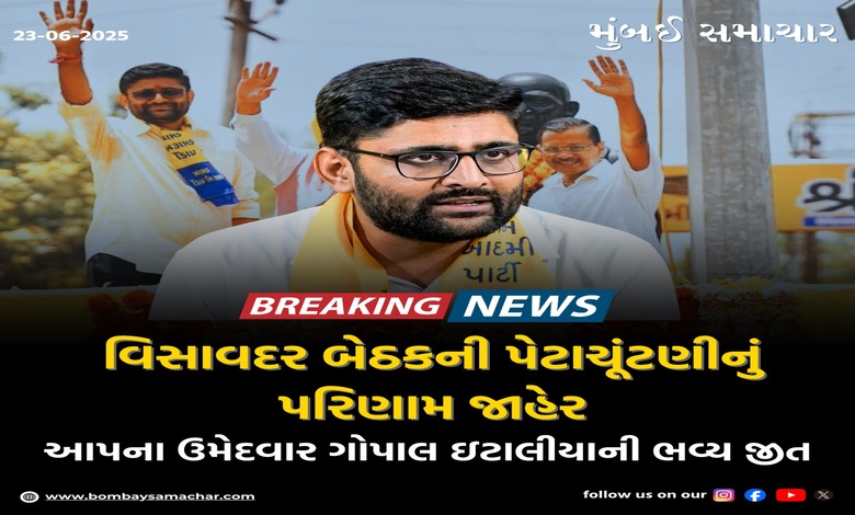 વિસાવદરમાં આમ આદમી પાર્ટીની ભવ્ય જીત, કડીમાં ભાજપે ભગવો લહેરાવ્યો