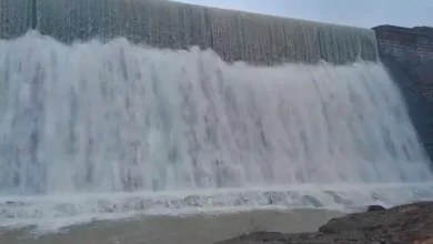 Meghmeher in Gujarat: 10 dams overflowed, maximum water storage in reservoirs of Saurashtra