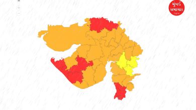 બનાસકાંઠાના અમીરગઢમાં સૌથી વધુ વરસાદ પડ્યોઃ બનાસ નદીમાં નવા નીરની આવક સાત જિલ્લામાં રેડ અને 23 જિલ્લામાં ઓરેન્જ એલર્ટ